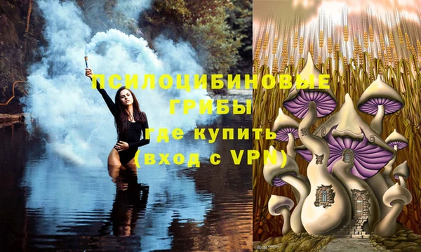 индика Аркадак